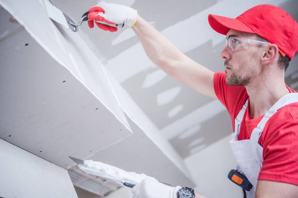 Best Water-Damaged Drywall Repair  in Gaylord, MN